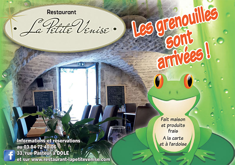 Les grenouilles sont arrivées
